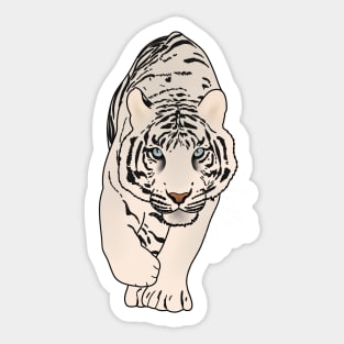 White Tiger Stalking, Love Tigers Sticker